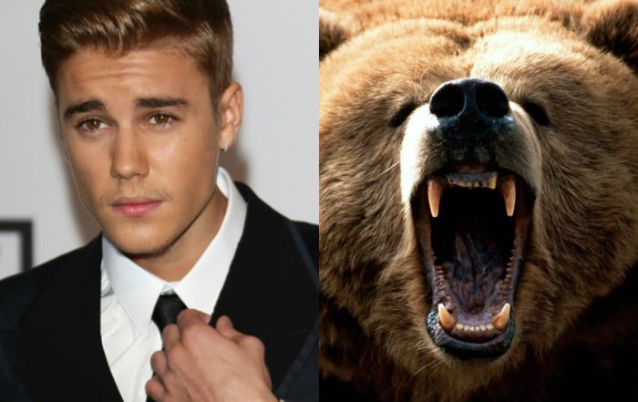 Muzica lui Justin Bieber sperie ursii